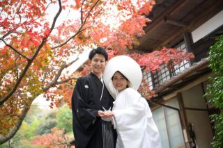 華雅苑　鎌倉店_『晩秋/紅葉』11月後半～12月