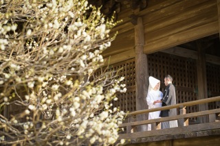 華雅苑　鎌倉店_『早春/梅』1月～3月中旬