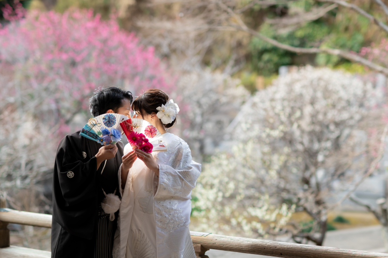 華雅苑　鎌倉店_『早春/梅』1月～3月中旬