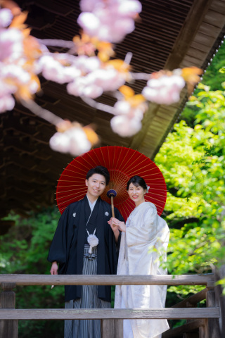 華雅苑　鎌倉店_『陽春/桜や海棠』3月下旬～4月上旬