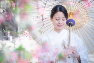 華雅苑　鎌倉店_『陽春/桜や海棠』3月下旬～4月上旬