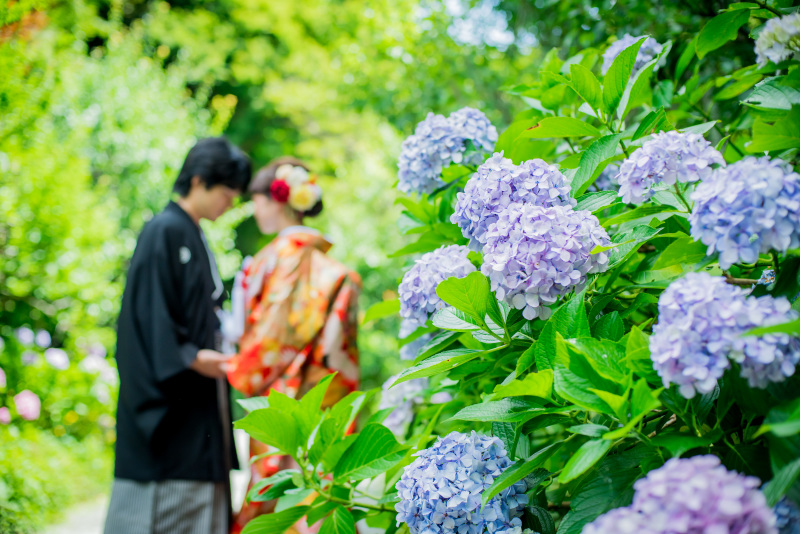 華雅苑　鎌倉店_神社・寺院で撮影できる