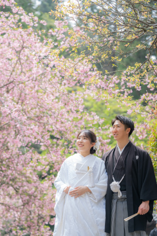 華雅苑　鎌倉店_『陽春/桜や海棠』3月下旬～4月上旬