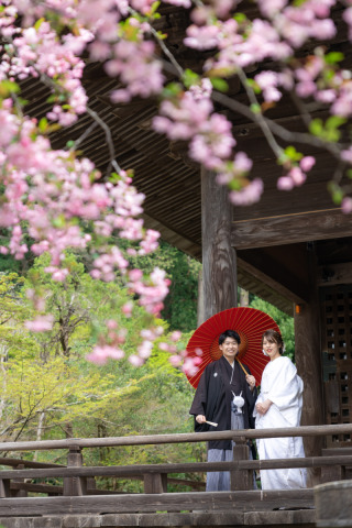 華雅苑　鎌倉店_『陽春/桜や海棠』3月下旬～4月上旬