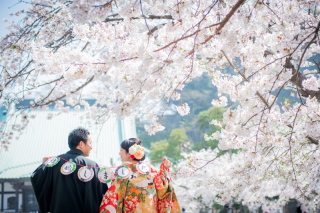 華雅苑　鎌倉店_『陽春/桜や海棠』3月下旬～4月上旬