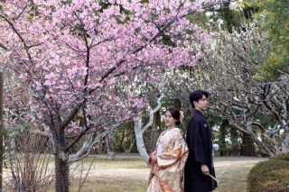 華雅苑　鎌倉店_海が見える日本庭園（葉山御用邸別邸跡地）