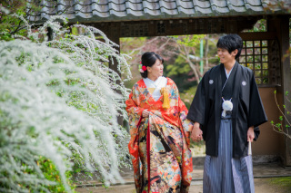 華雅苑　鎌倉店_『陽春/桜や海棠』3月下旬～4月上旬