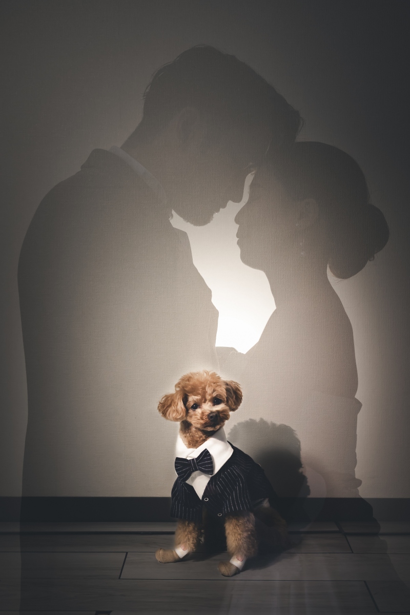 華雅苑 鎌倉店_ペットと一緒に撮影できる