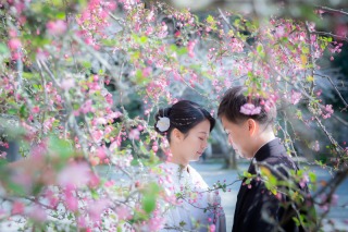 華雅苑　鎌倉店_『陽春/桜や海棠』3月下旬～4月上旬