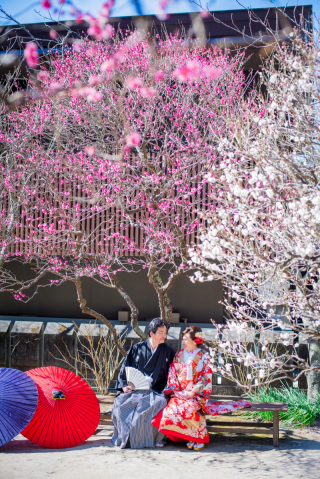 華雅苑　鎌倉店_『早春/梅』1月～3月中旬