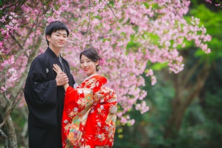 華雅苑　鎌倉店_『陽春/桜や海棠』3月下旬～4月上旬