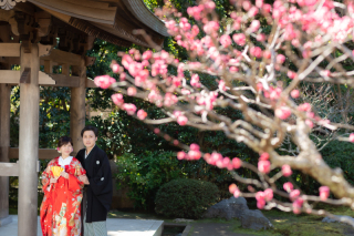 華雅苑　鎌倉店_『早春/梅』1月～3月中旬