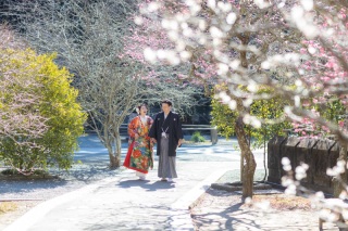 華雅苑　鎌倉店_『早春/梅』1月～3月中旬