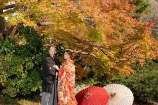 華雅苑　鎌倉店_『晩秋/紅葉』11月後半～12月