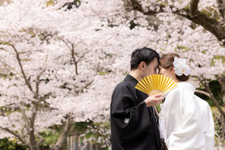 華雅苑　鎌倉店_『陽春/桜や海棠』3月下旬～4月上旬