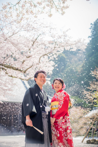 華雅苑　鎌倉店_『陽春/桜や海棠』3月下旬～4月上旬