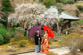 華雅苑　鎌倉店_『早春/梅』1月～3月中旬