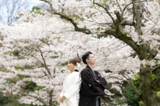 華雅苑　鎌倉店_『陽春/桜や海棠』3月下旬～4月上旬