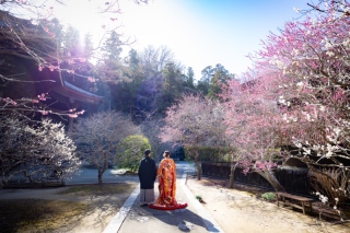 華雅苑　鎌倉店_『早春/梅』1月～3月中旬