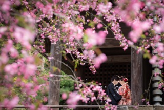 華雅苑　鎌倉店_『陽春/桜や海棠』3月下旬～4月上旬