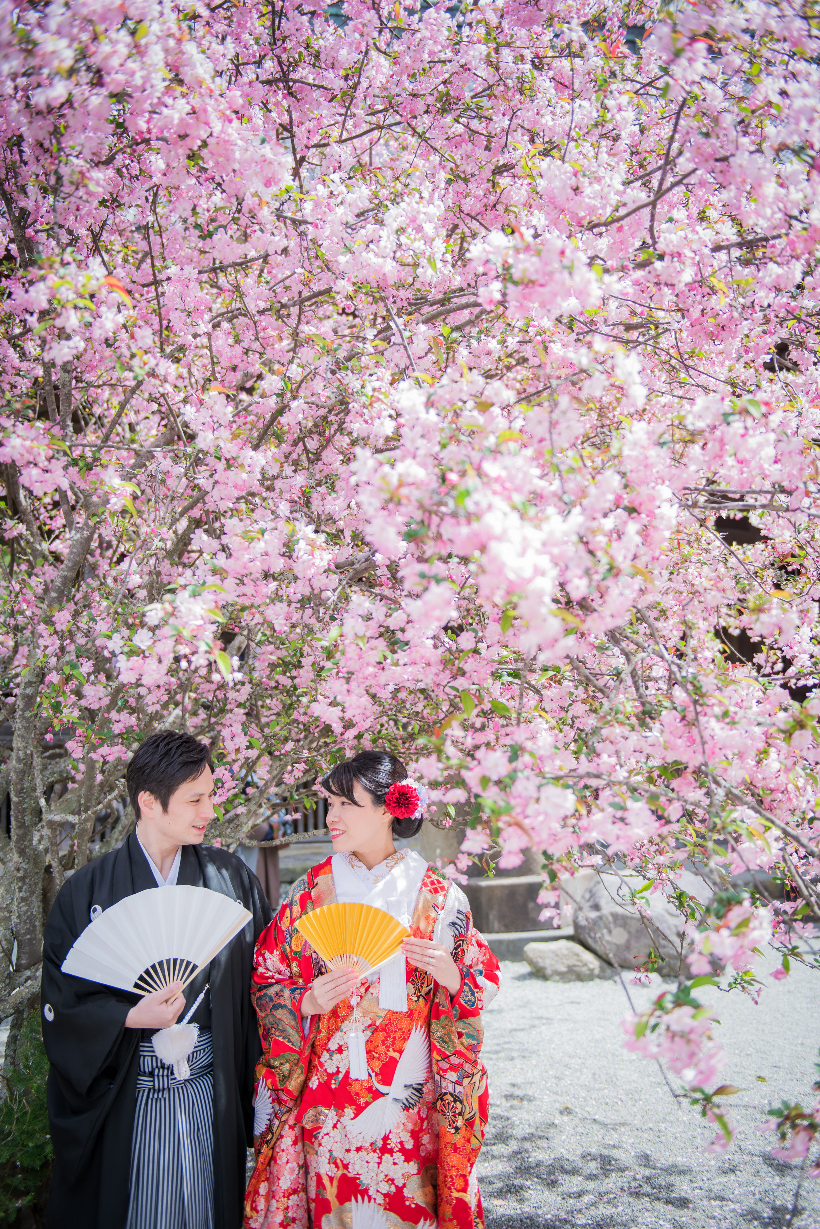 20以上ある撮影シーン