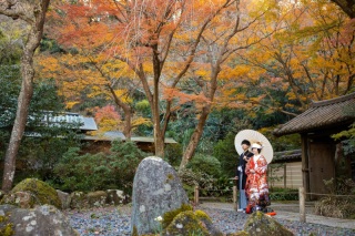 華雅苑　鎌倉店_『晩秋/紅葉』11月後半～12月
