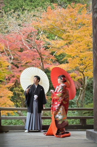 華雅苑　鎌倉店_『晩秋/紅葉』11月後半～12月