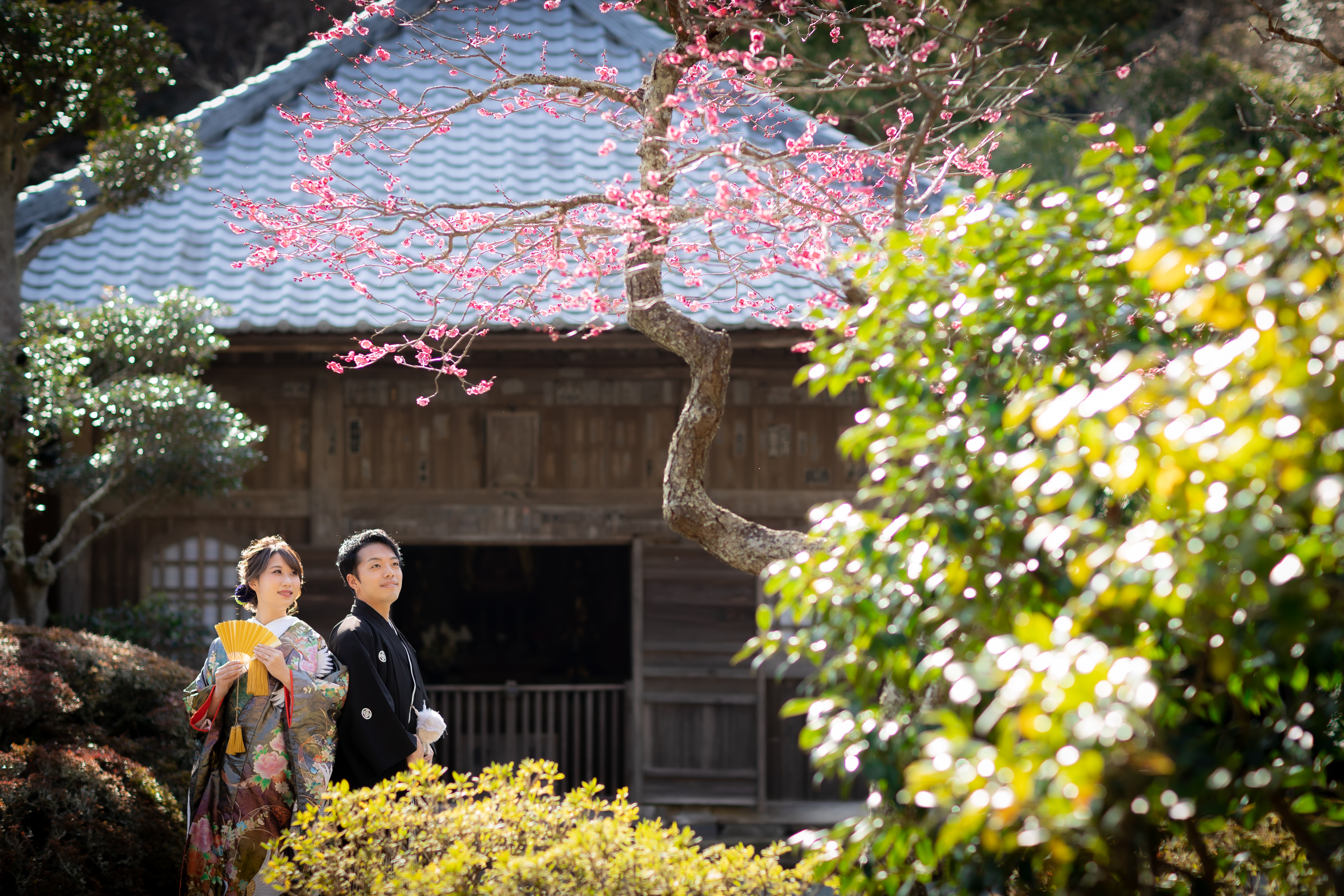 Point1 多彩な撮影シーン