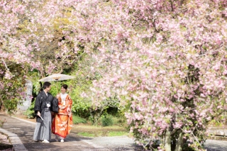 華雅苑　鎌倉店_妙本寺