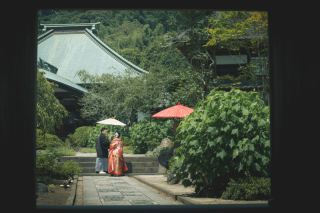 華雅苑 鎌倉店_『夏の季節』7月~8月