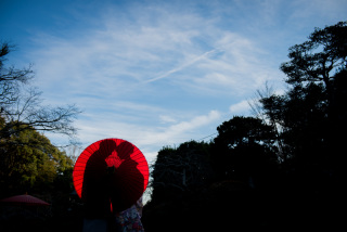 華雅苑　鎌倉店_『早春/梅』1月～3月中旬