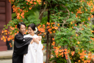 華雅苑　鎌倉店_『初夏/紫陽花』6月中旬～7月上旬