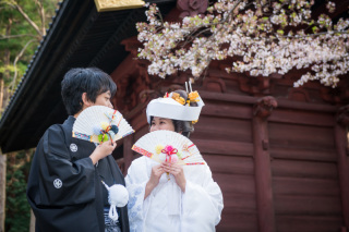 華雅苑　鎌倉店_『陽春/桜や海棠』3月下旬～4月上旬