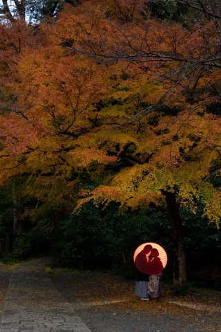 華雅苑　鎌倉店_『晩秋/紅葉』11月後半～12月