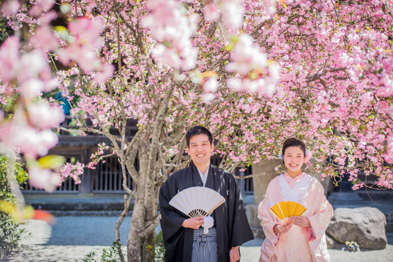 華雅苑　鎌倉店_『陽春/桜や海棠』3月下旬～4月上旬