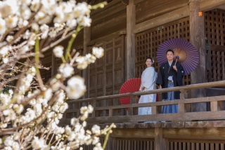 華雅苑　鎌倉店_『早春/梅』1月～3月中旬