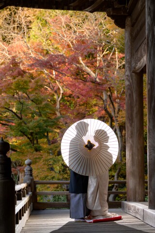 華雅苑　鎌倉店_『晩秋/紅葉』11月後半～12月
