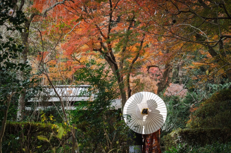 【和装1着】12/24~12/29 まだまだ紅葉♡好きな和装1着着て瑞泉寺で撮影★衣裳差額なし・美容・撮影データ100枚