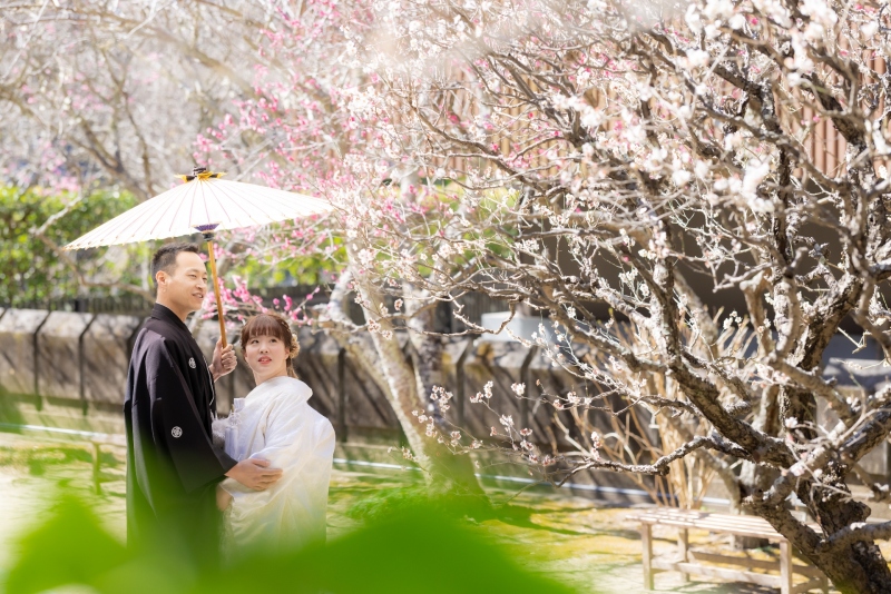 梅が咲く季節；2月撮影　先着１０組様２万円OFF♪鎌倉市内の寺院2ヶ所で撮影★和装弐点プラン　衣裳2着・美容・撮影データ２３０枚