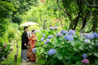 【和装１着】早割♪紫陽花の時期6/1～6/30の撮影★鎌倉市内の寺院で撮影　衣裳・美容・撮影データ100カット