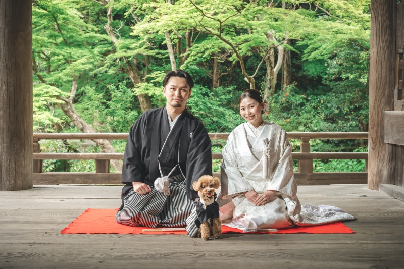 【和装＆洋装】ペットも大切な家族♪6月撮影★鎌倉市内の寺院＆湘南の海で撮影　衣裳差額無し・美容・撮影データ180カット
