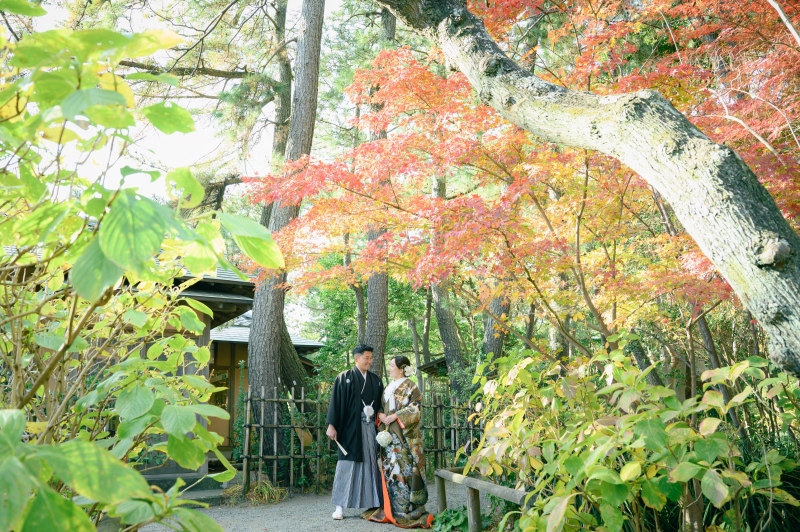 【和装1着】コスパ◎紅葉の季節11/25~12/15撮影★先着10組様 海が見える日本庭園で撮影 衣裳・美容・写真データ100枚