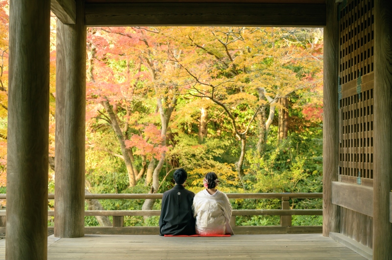 【和装1着】12/16~12/24の平日撮影★先着10組様 妙本寺で撮影(オープニングムービー付)衣裳・美容・写真データ100枚