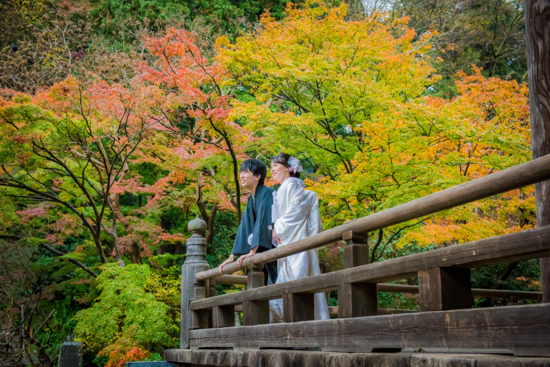 紅葉の時期【11/26~12/15】鎌倉市内の寺院で撮影する和装壱点プラン 衣裳1着(差額無し)・美容・データ130カット付き