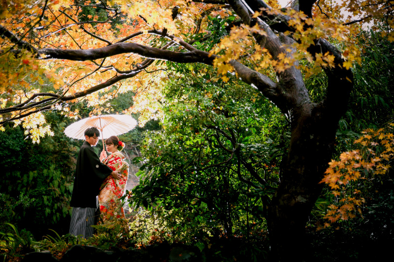 11/26~12/15の撮影★和装;紅葉が綺麗な鎌倉市内の寺院+洋装;湘南の海で撮影 衣裳(差額無し)・美容・データ210枚付
