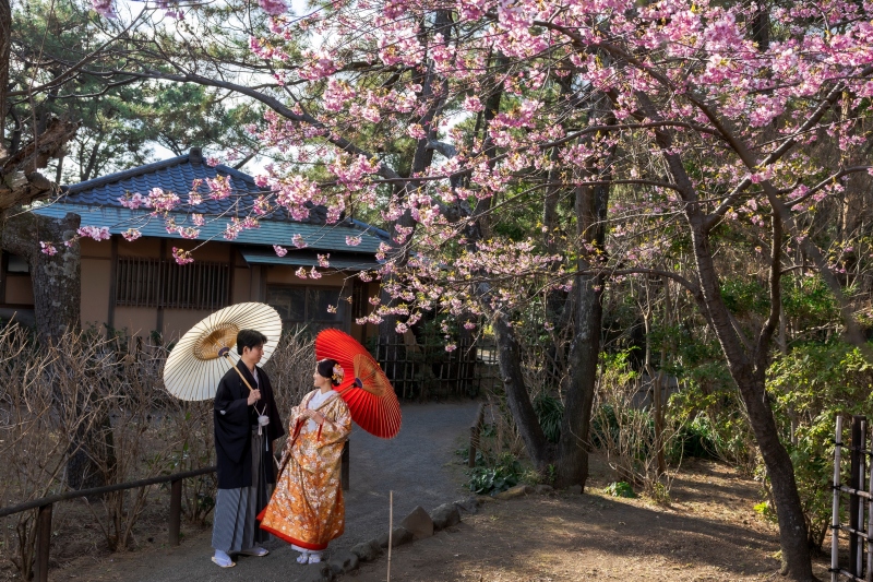 梅が咲く季節;2月の撮影 先着10組様2万円OFF♪海と庭園で撮影★和装壱点プラン 衣裳(差額無し)・美容・撮影データ130枚
