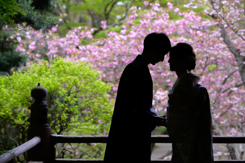 【和装1着】八重桜♪4/11~4/24の撮影 鎌倉市内の寺院で撮影・衣裳差額無し・美容・撮影データ100カット