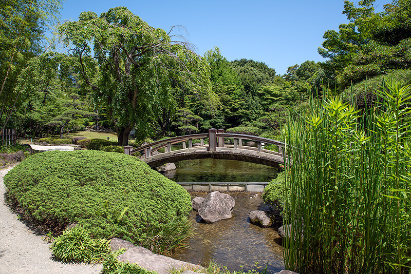【和装2着】4月日付限定モニター募集　新ロケ地（日本庭園）で撮影　衣裳・美容・撮影データ付き