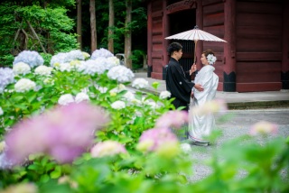 【和装＆洋装】早割♪紫陽花の時期6/1～6/30の撮影★鎌倉市内の寺院＆湘南の海で撮影　衣裳・美容・撮影データ180カット