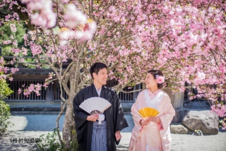 【和装＆洋装】桜の時期（3/26～4/10)１０組様１万円オフ★鎌倉市内の寺院と城ケ島で撮影　衣裳差額無し・美容・撮影データ付